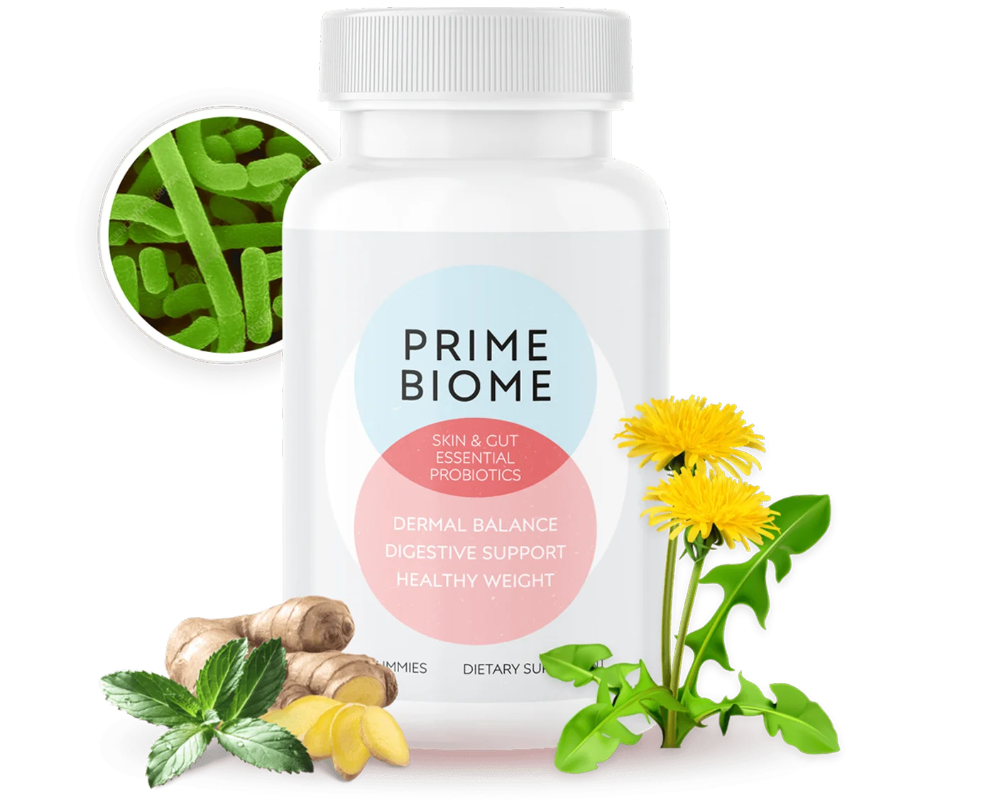 primebiome-usa.pages.dev favicon